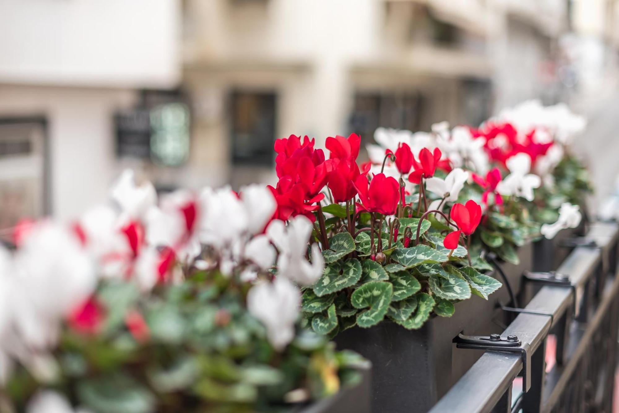 The Rare Luxury Gem Near Syntagma, Kolonaki Square Apartment